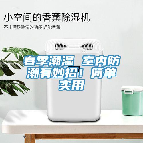 春季潮濕 室內防潮有妙招！簡單實用