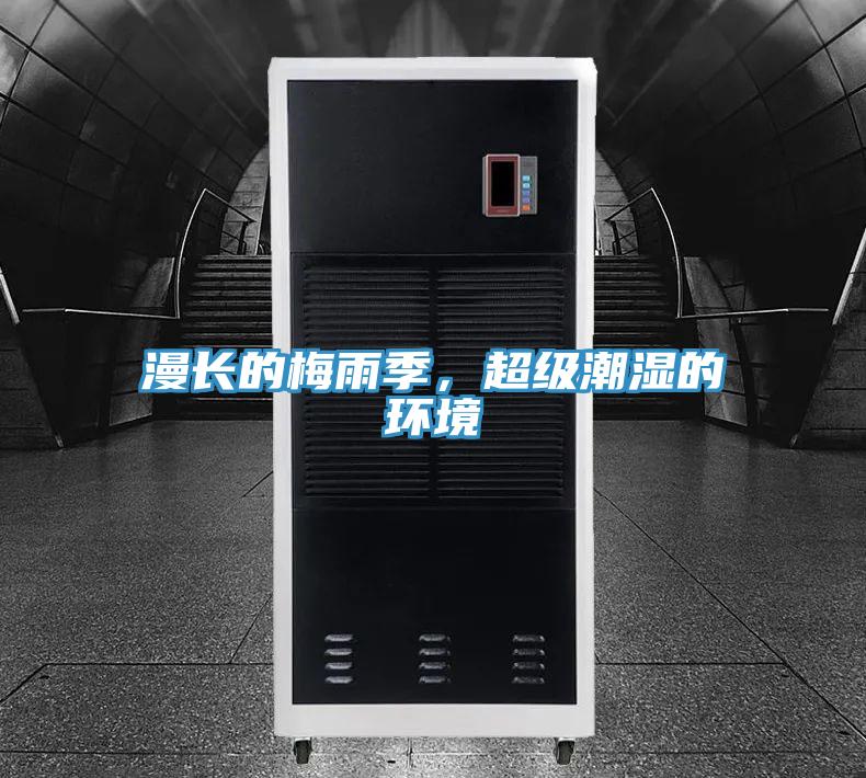 漫長的梅雨季，超級潮濕的環境