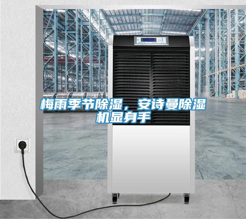 梅雨季節(jié)除濕，安詩曼除濕機顯身手