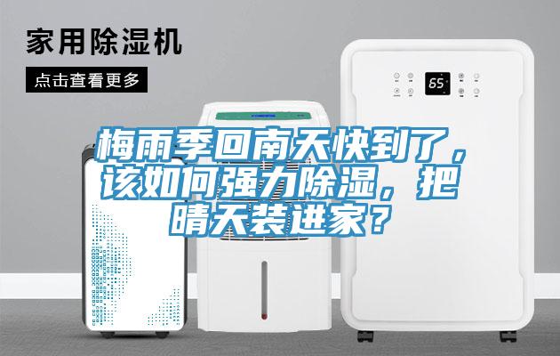 梅雨季回南天快到了，該如何強(qiáng)力除濕，把晴天裝進(jìn)家？