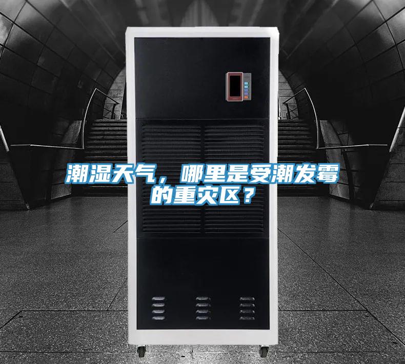 潮濕天氣，哪里是受潮發(fā)霉的重災(zāi)區(qū)？