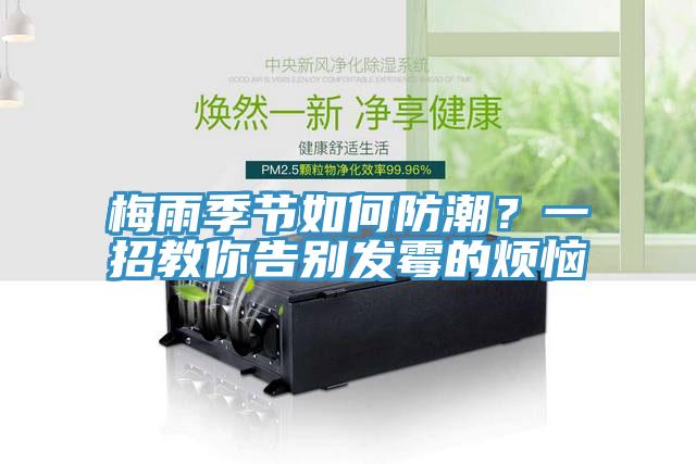 梅雨季節如何防潮？一招教你告別發霉的煩惱