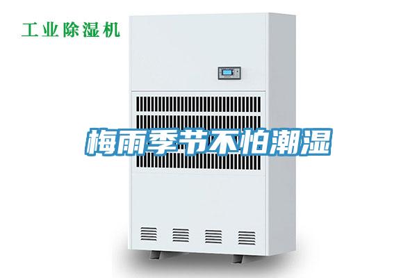 梅雨季節不怕潮濕