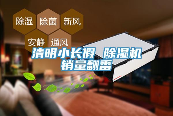 清明小長(zhǎng)假 除濕機(jī)銷量翻番