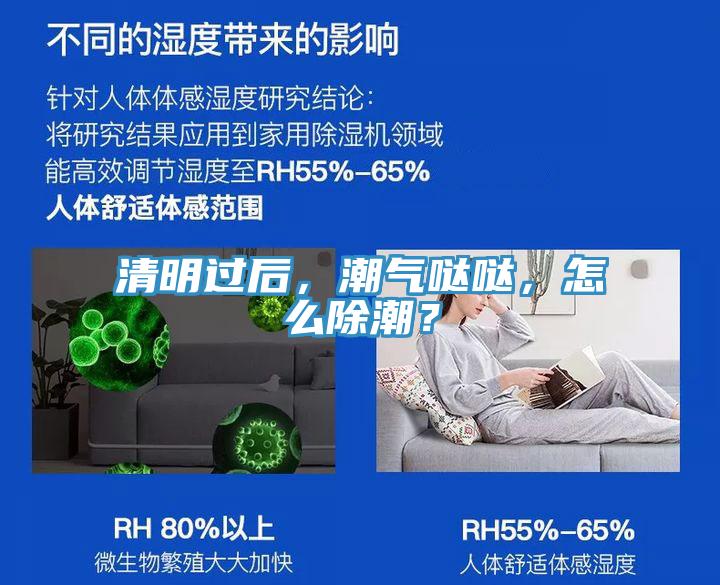 清明過后，潮氣噠噠，怎么除潮？