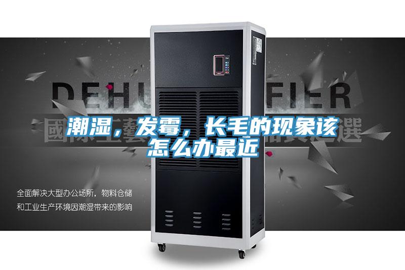 潮濕，發(fā)霉，長毛的現(xiàn)象該怎么辦最近