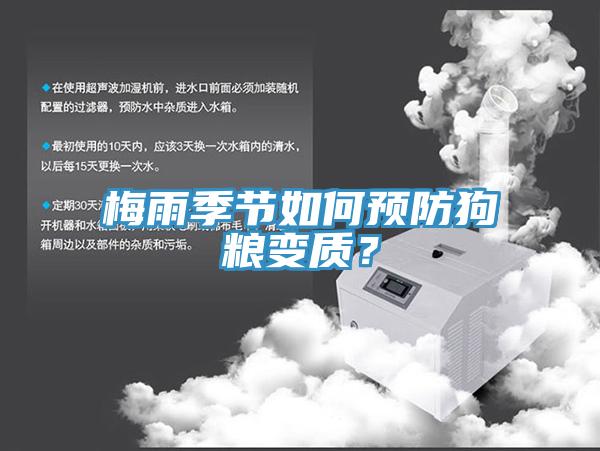 梅雨季節如何預防狗糧變質？