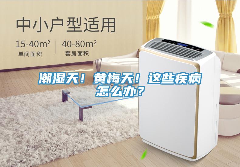 潮濕天！黃梅天！這些疾病怎么辦？