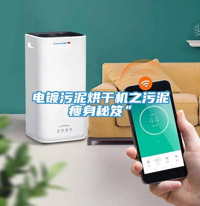 電鍍污泥烘干機之污泥瘦身秘笈”