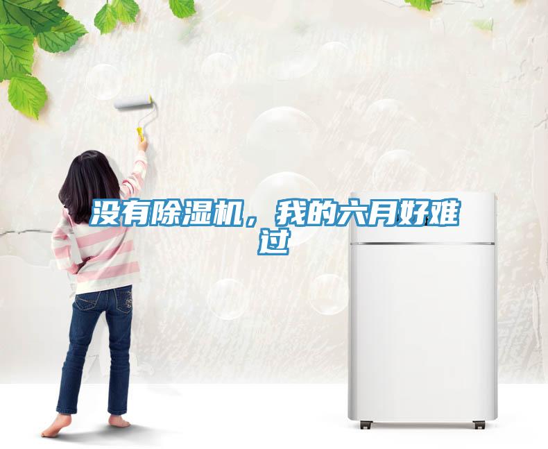 沒有除濕機，我的六月好難過