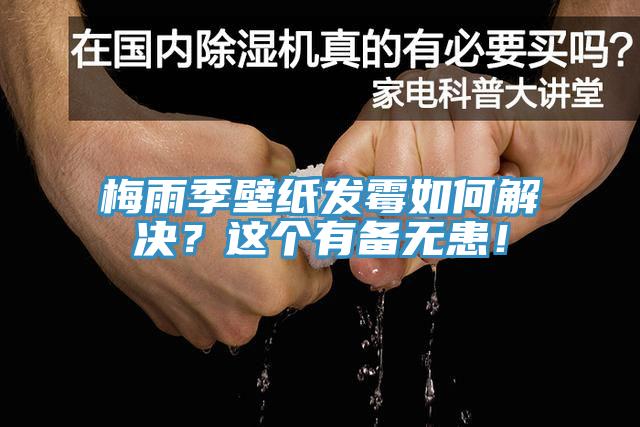 梅雨季壁紙發(fā)霉如何解決？這個有備無患！