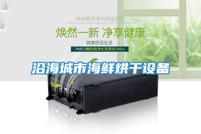 沿海城市海鮮烘干設備