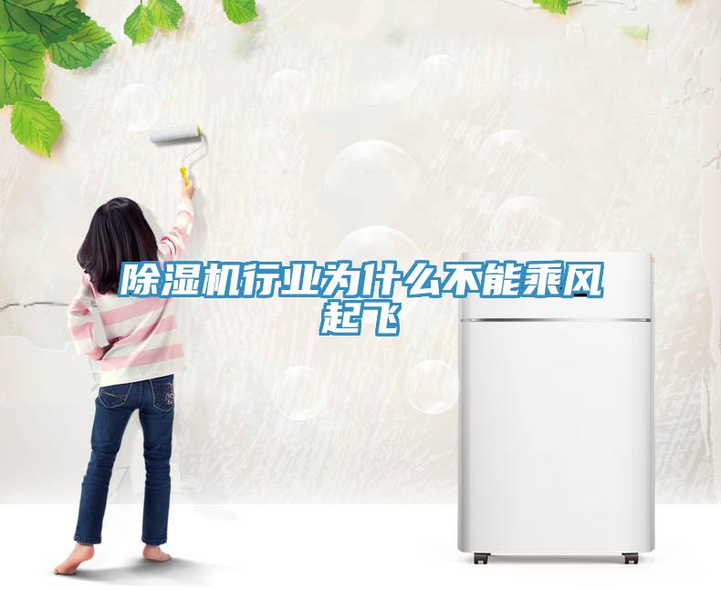 除濕機行業為什么不能乘風起飛