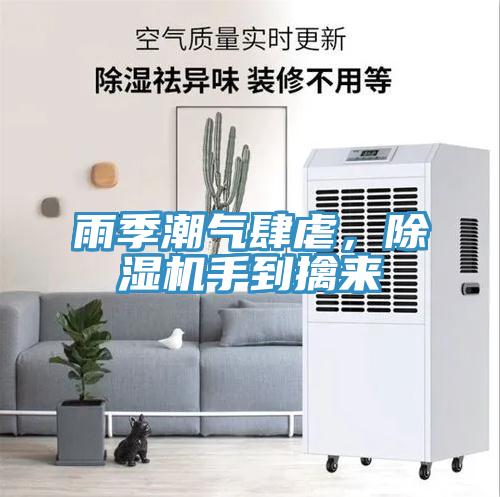 雨季潮氣肆虐，除濕機手到擒來