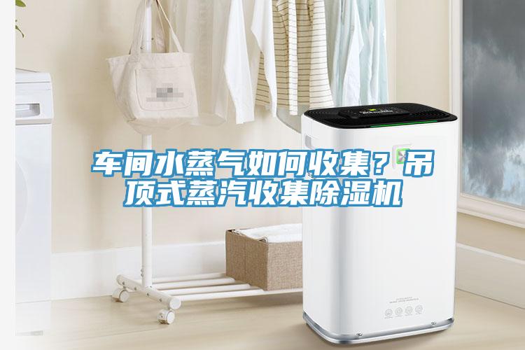 車間水蒸氣如何收集？吊頂式蒸汽收集除濕機