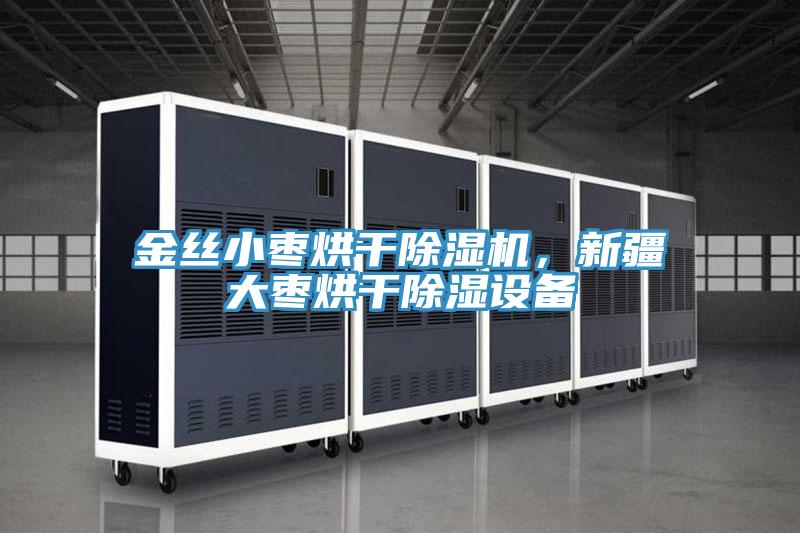 金絲小棗烘干除濕機，新疆大棗烘干除濕設備