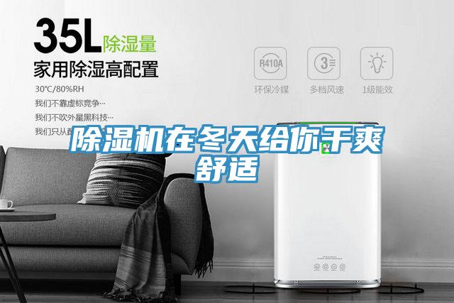 除濕機(jī)在冬天給你干爽舒適