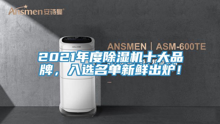 2021年度除濕機十大品牌，入選名單新鮮出爐！