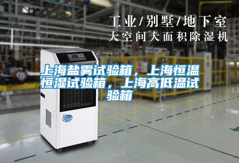 上海鹽霧試驗(yàn)箱，上海恒溫恒濕試驗(yàn)箱，上海高低溫試驗(yàn)箱