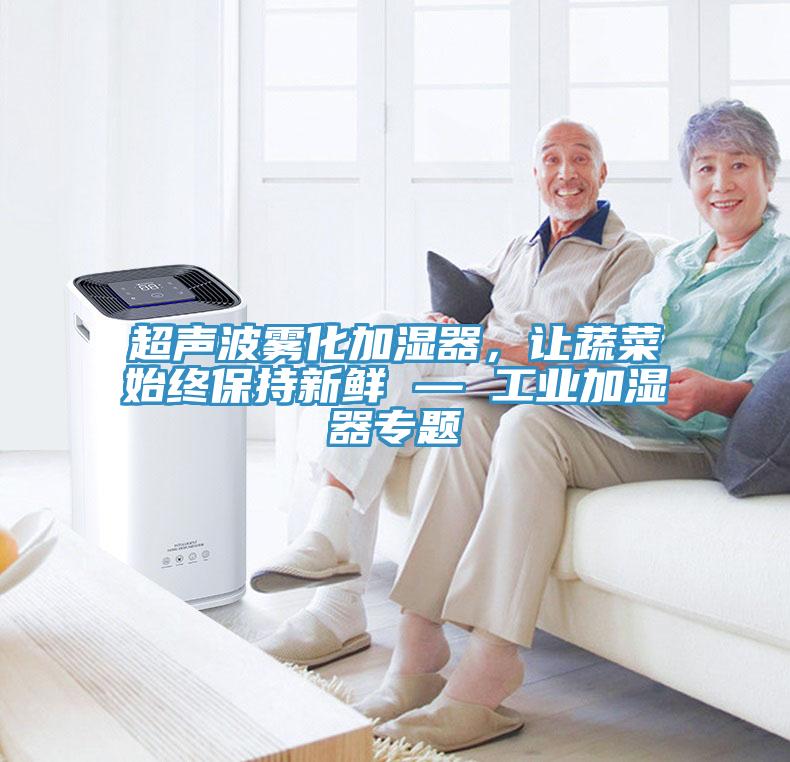 超聲波霧化加濕器，讓蔬菜始終保持新鮮 — 工業加濕器專題