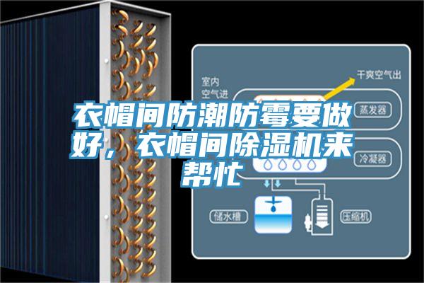 衣帽間防潮防霉要做好，衣帽間除濕機來幫忙