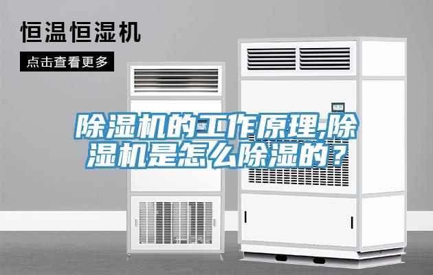 除濕機的工作原理,除濕機是怎么除濕的？