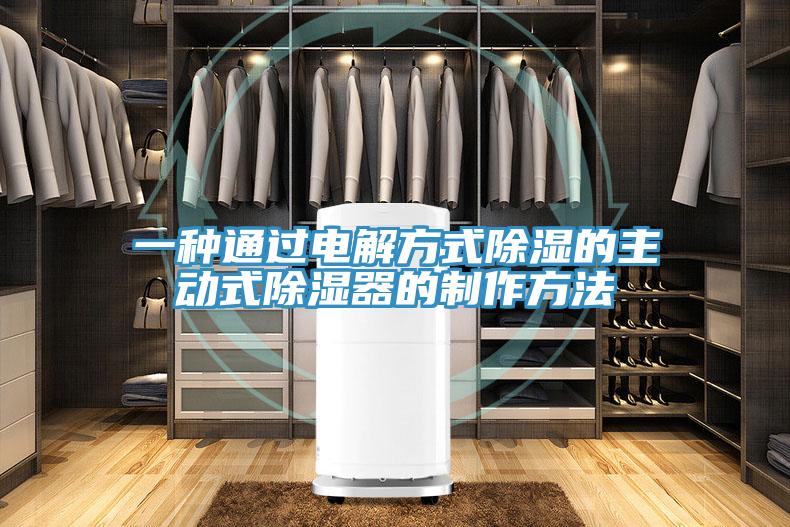 一種通過電解方式除濕的主動式除濕器的制作方法
