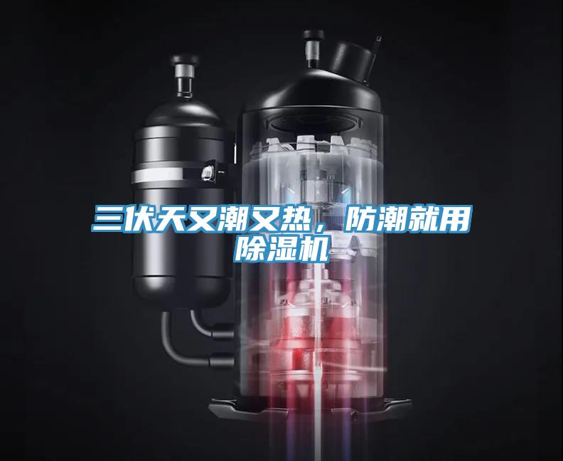 三伏天又潮又熱，防潮就用除濕機