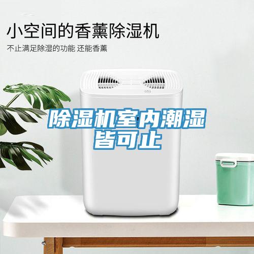 除濕機室內潮濕皆可止