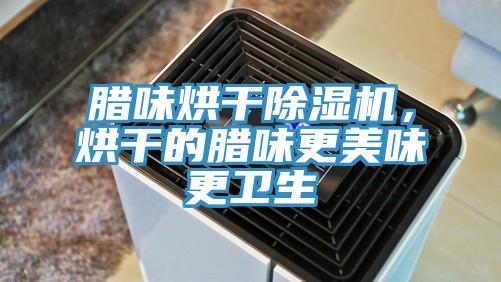 臘味烘干除濕機(jī)，烘干的臘味更美味更衛(wèi)生