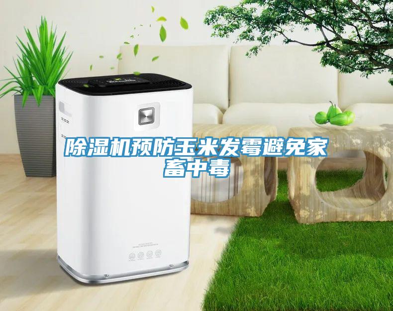 除濕機預防玉米發霉避免家畜中毒