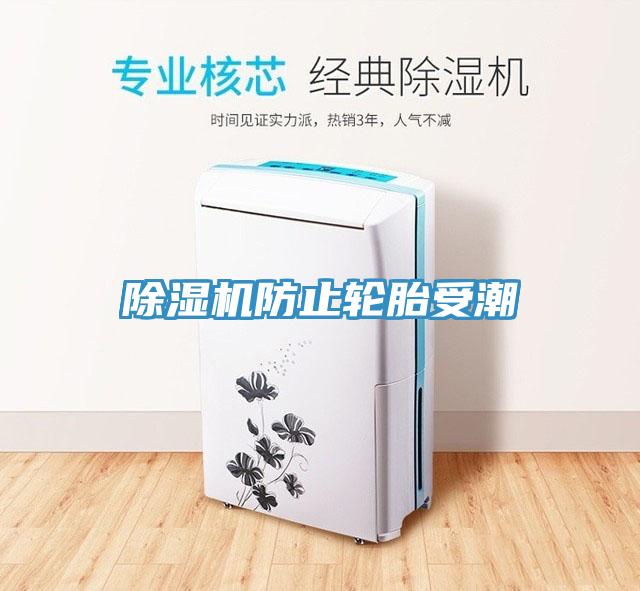 除濕機(jī)防止輪胎受潮