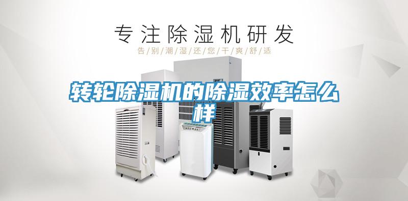 轉(zhuǎn)輪除濕機的除濕效率怎么樣
