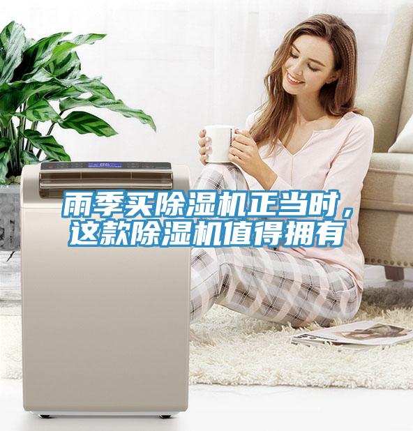 雨季買除濕機正當時，這款除濕機值得擁有