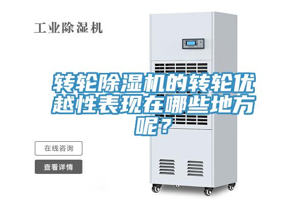 轉輪除濕機的轉輪優越性表現在哪些地方呢？