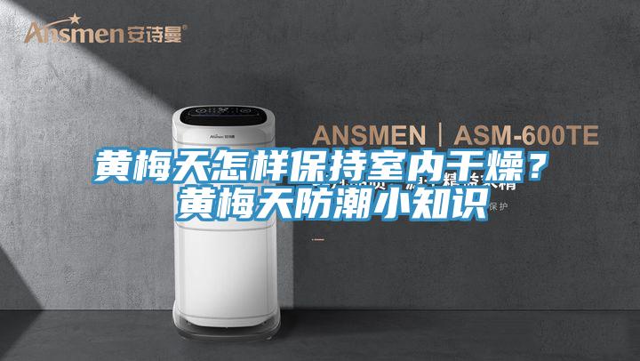 黃梅天怎樣保持室內干燥？ 黃梅天防潮小知識
