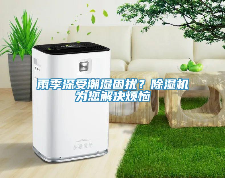 雨季深受潮濕困擾？除濕機為您解決煩惱