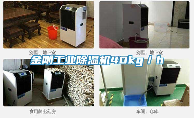 金剛工業除濕機40kg／h