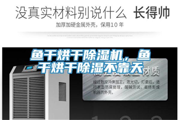 魚干烘干除濕機，魚干烘干除濕不靠天