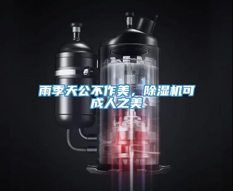 雨季天公不作美，除濕機可成人之美