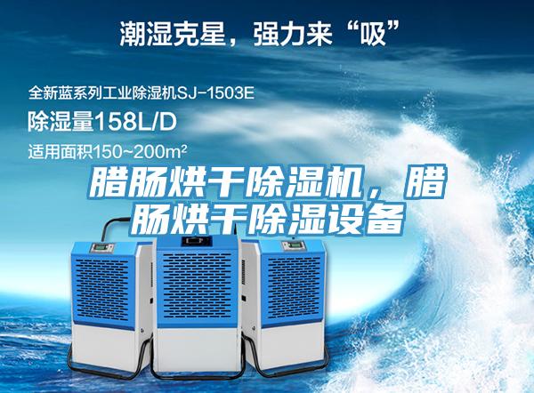 臘腸烘干除濕機，臘腸烘干除濕設備