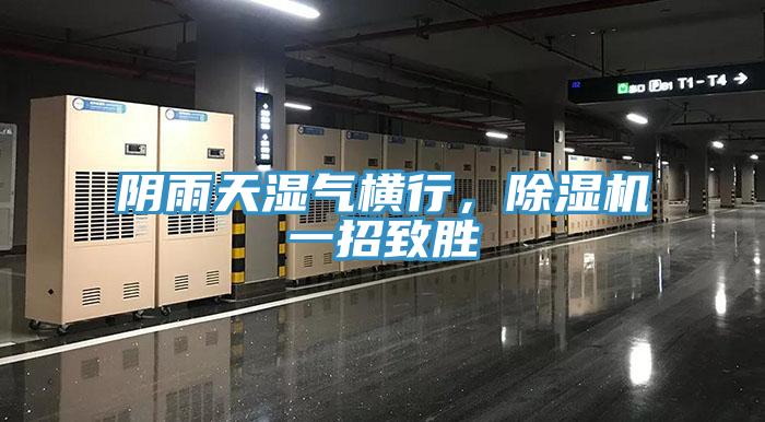 陰雨天濕氣橫行，除濕機一招致勝