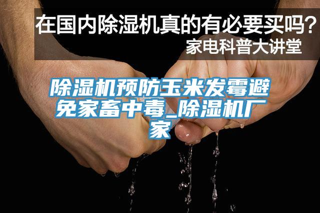 除濕機預防玉米發霉避免家畜中毒_除濕機廠家