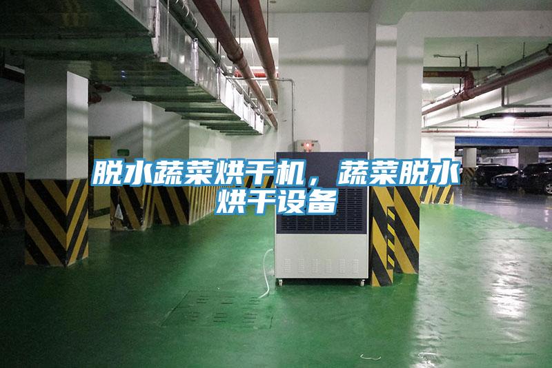 脫水蔬菜烘干機，蔬菜脫水烘干設備