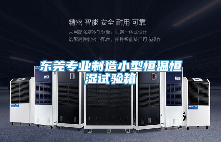 東莞專業制造小型恒溫恒濕試驗箱