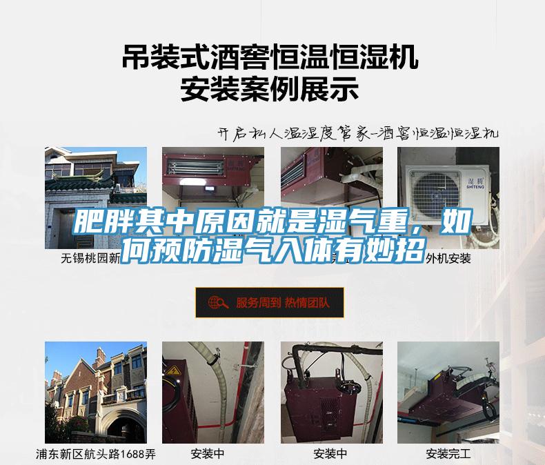 肥胖其中原因就是濕氣重，如何預防濕氣入體有妙招