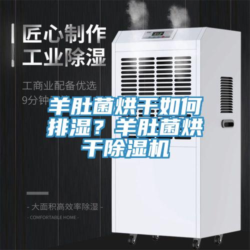 羊肚菌烘干如何排濕？羊肚菌烘干除濕機