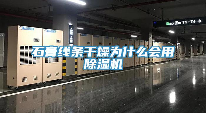石膏線條干燥為什么會用除濕機