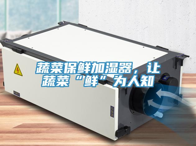 蔬菜保鮮加濕器，讓蔬菜“鮮”為人知