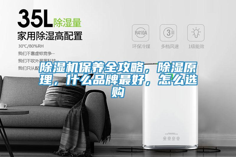除濕機保養全攻略，除濕原理，什么品牌最好，怎么選購